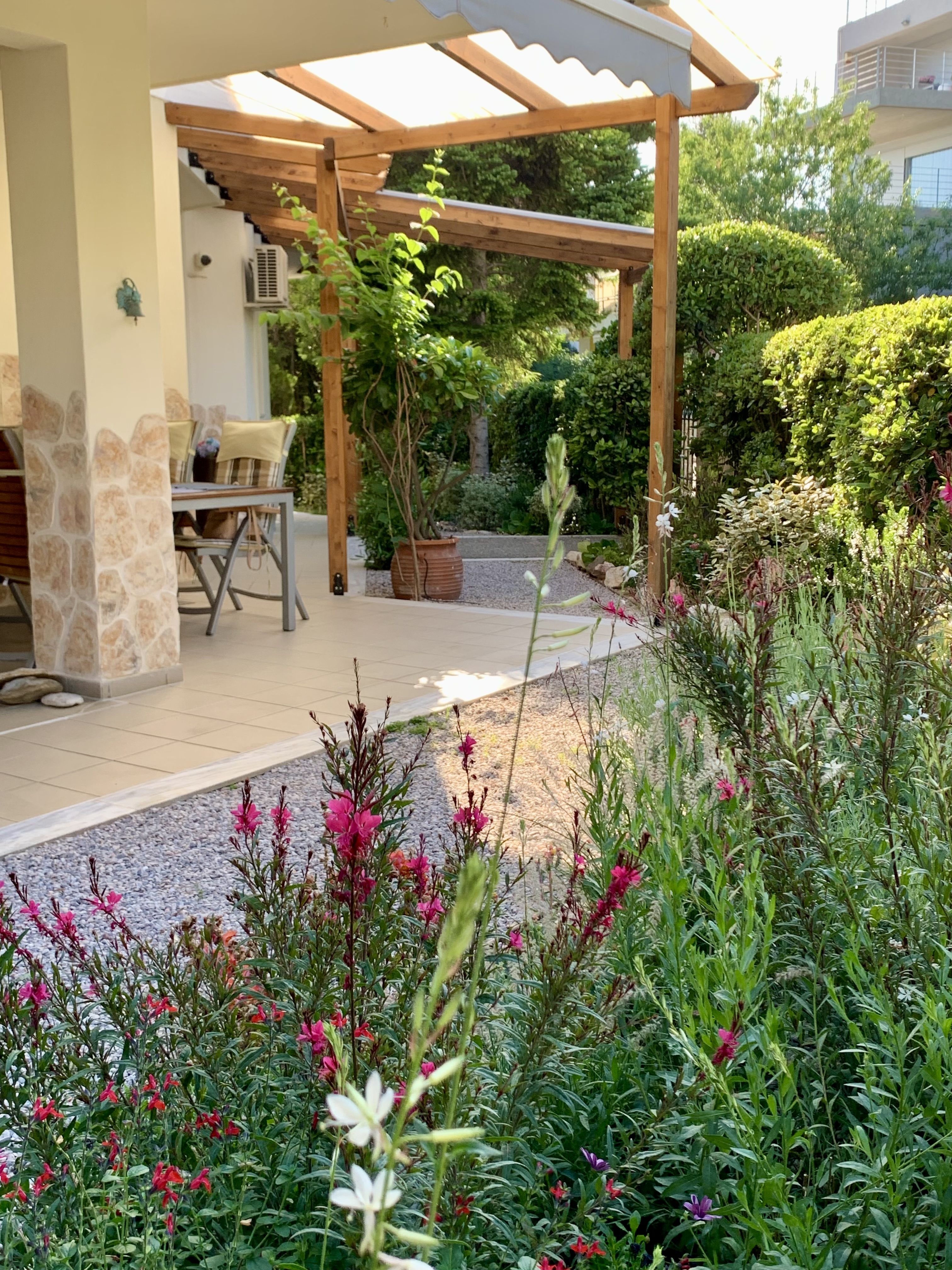 A Small Garden Without Borders in Marousi, 1.5 Years Later