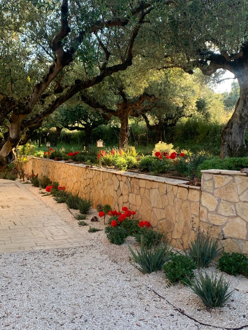 Una casa moderna con un giardino paesaggistico progettato con cura — un progetto Gardeniana in Grecia