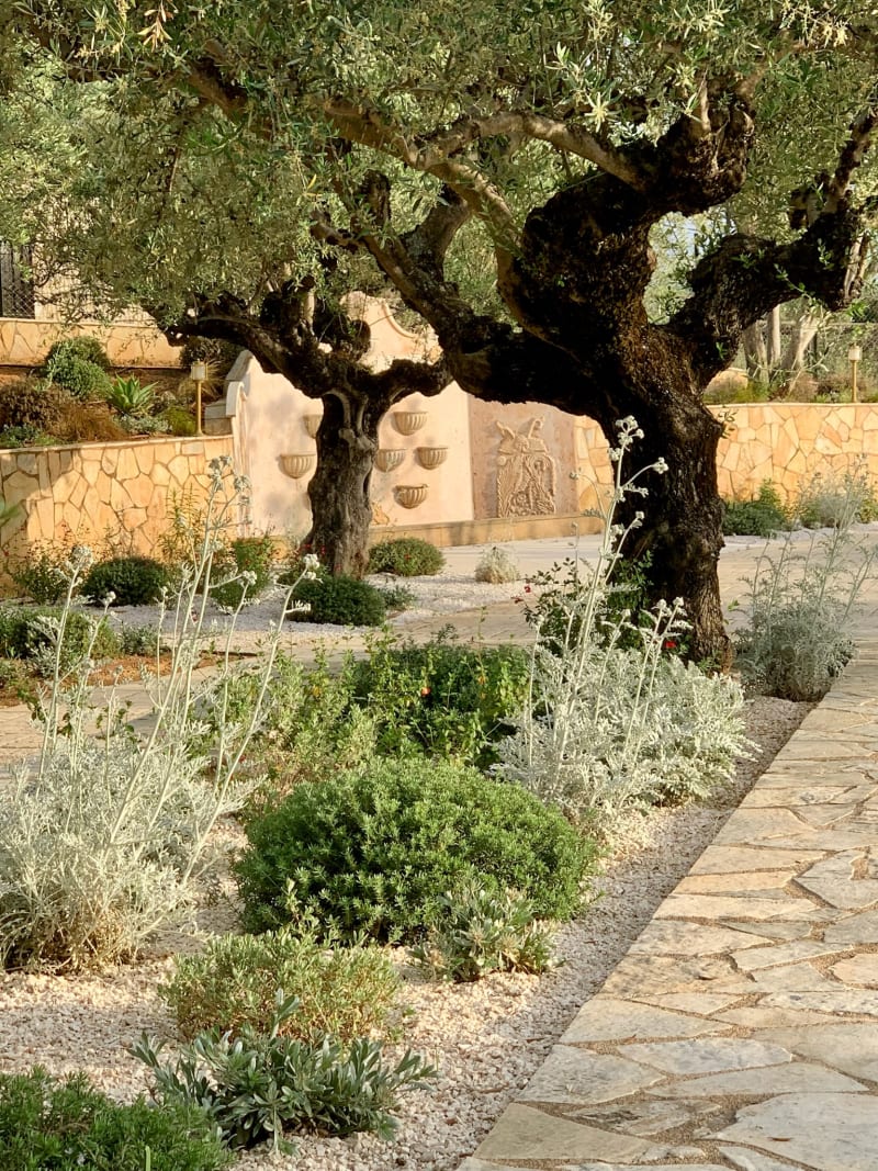Зрелый сад, переосмысленный в новой концепции — авторское обновление от Gardeniana