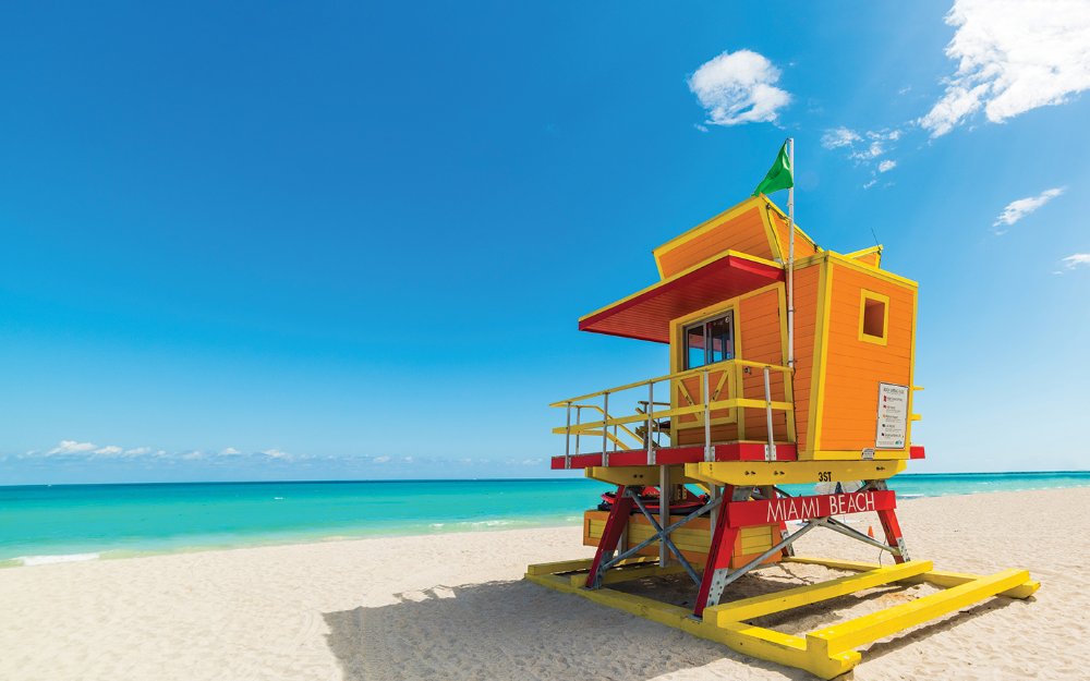 Miami Vibes