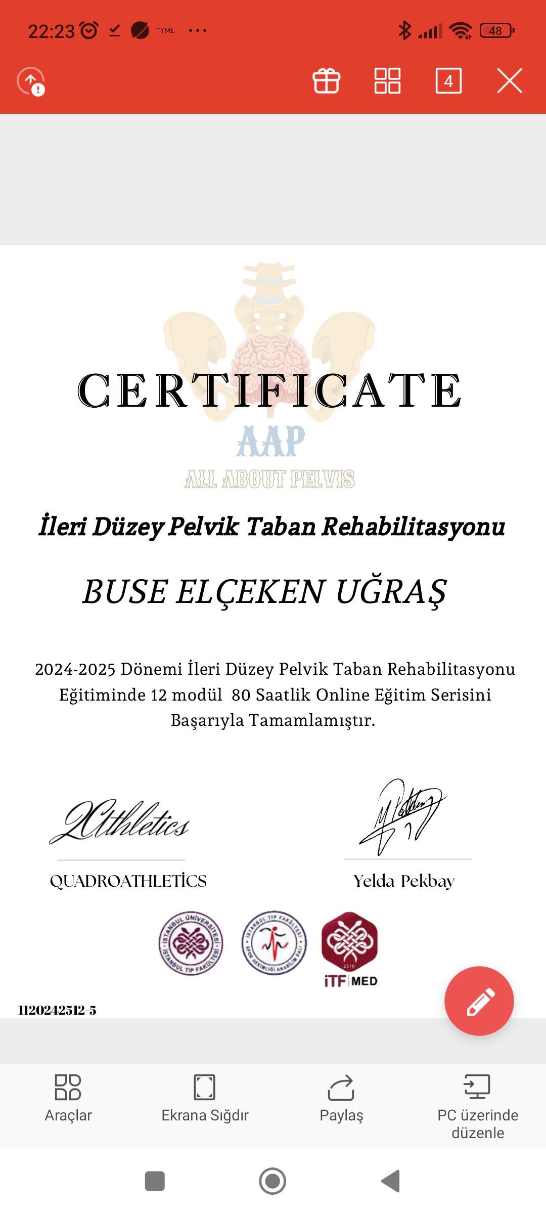 İleri Düzey Pelvik Taban Rehabilitasyonu