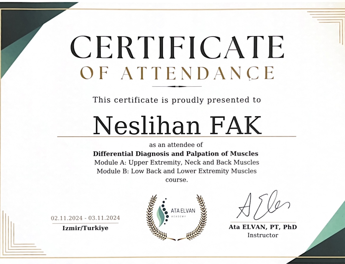 Ayırıcı Kas ve Palpasyon