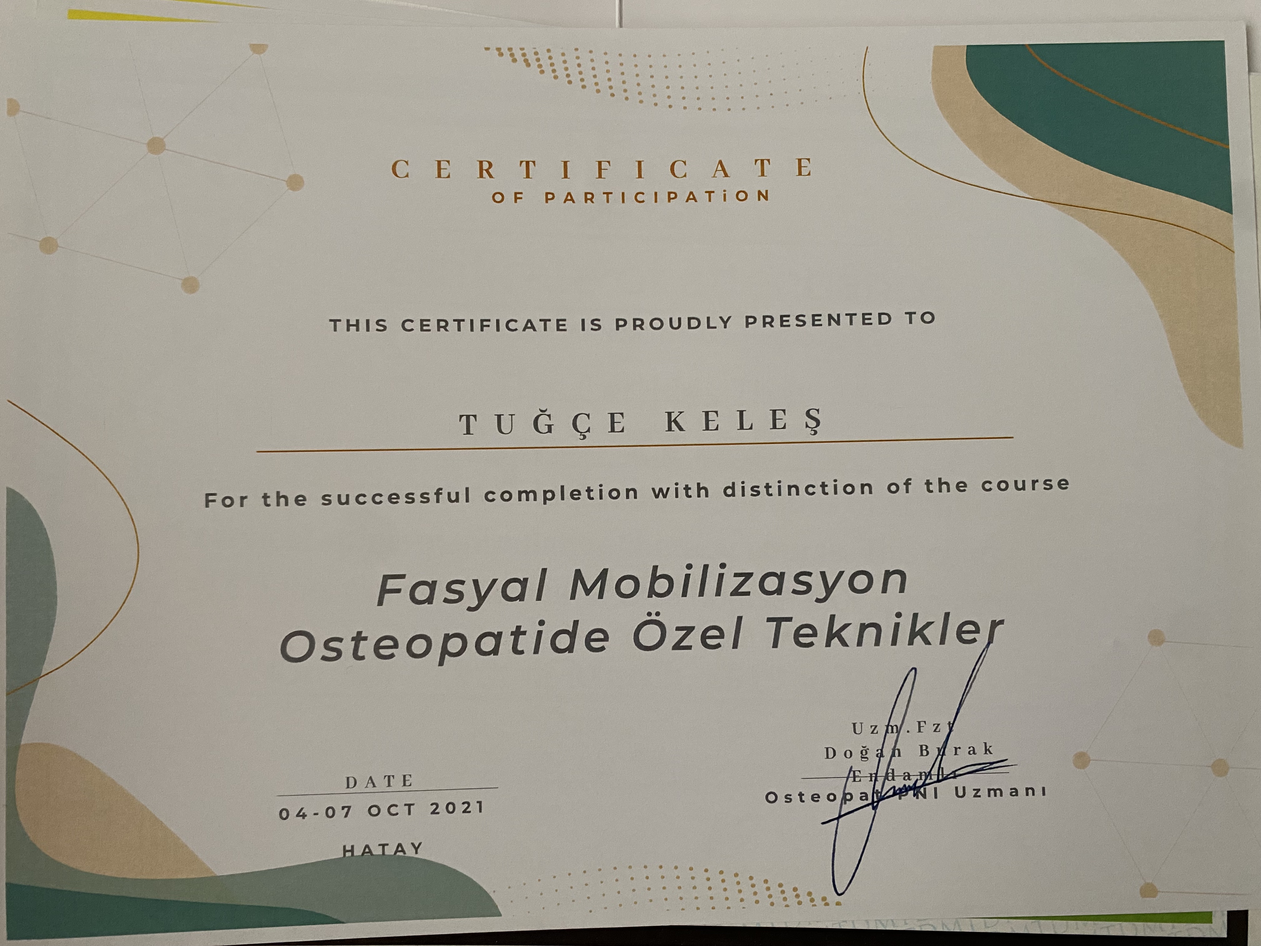 Fasyal Mobilizasyon Ostepoatide Özel Teknikler