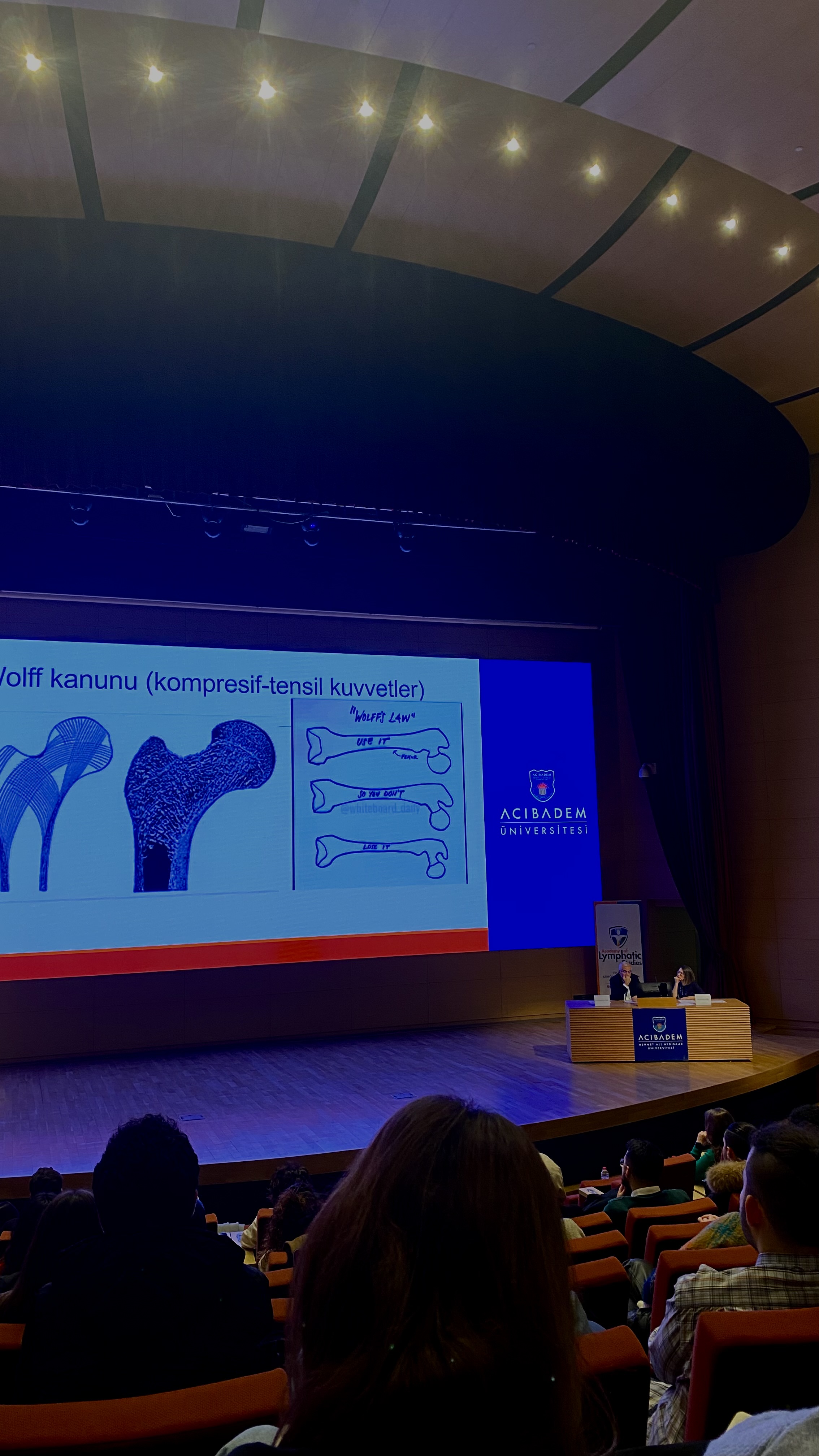 Galeri fotoğrafı 7