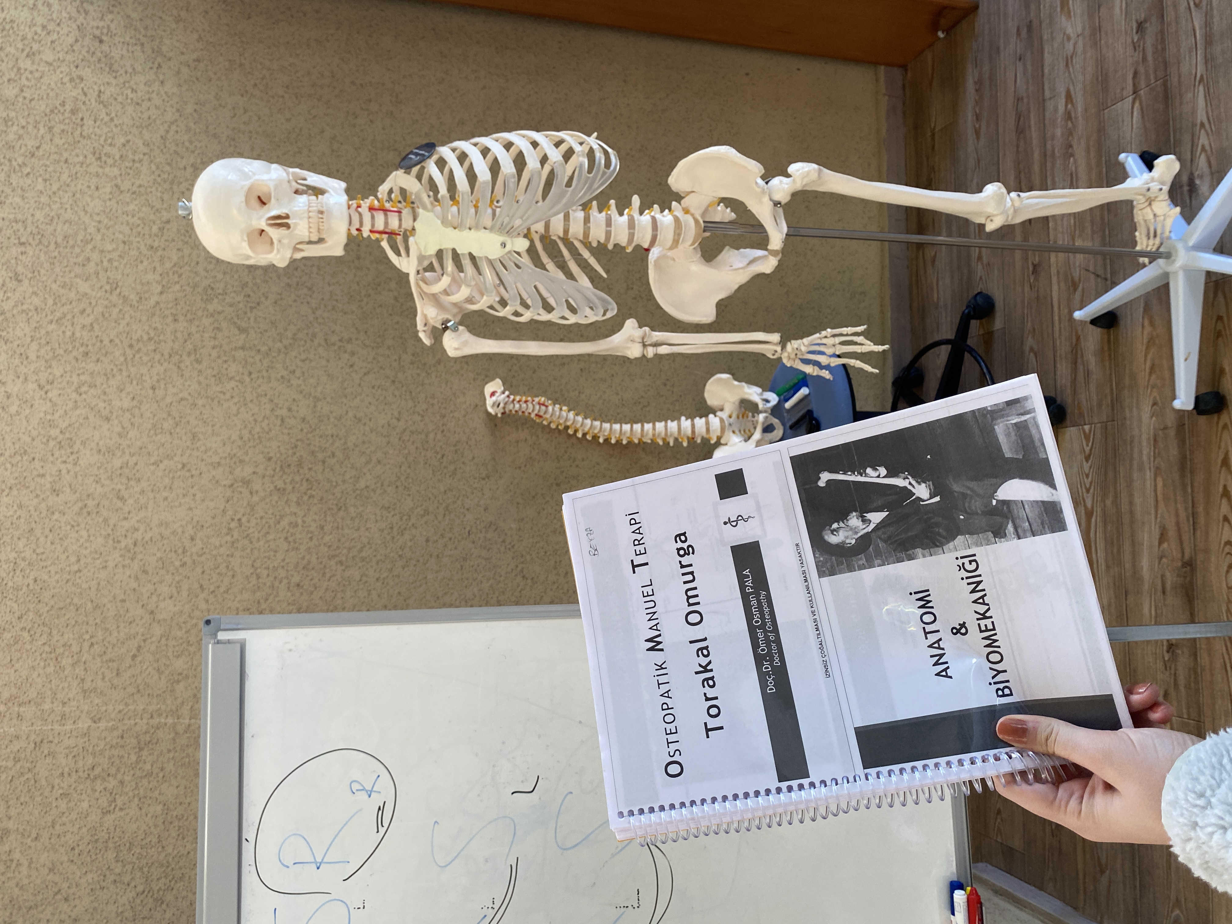 Galeri fotoğrafı 5