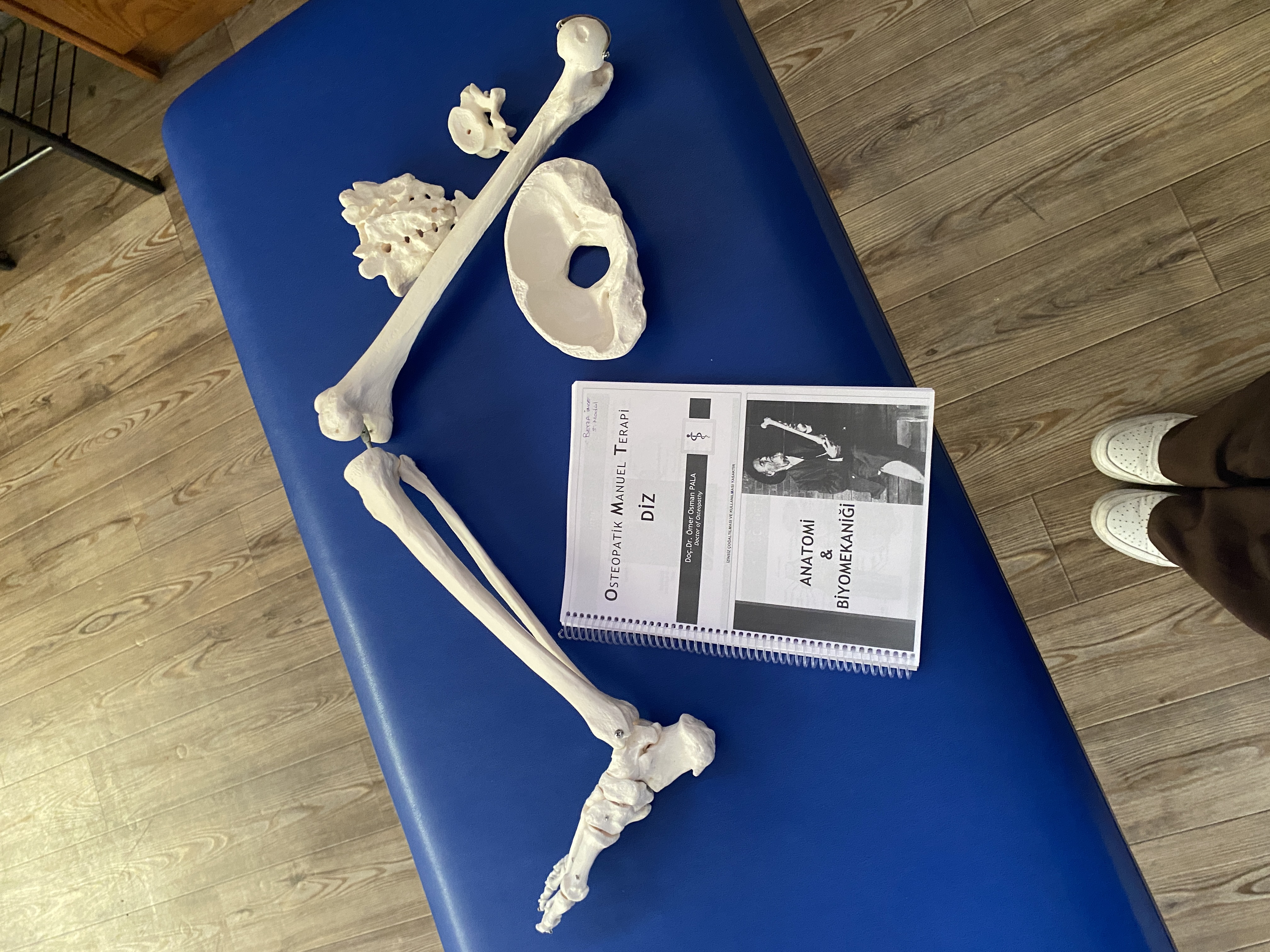 Galeri fotoğrafı 7