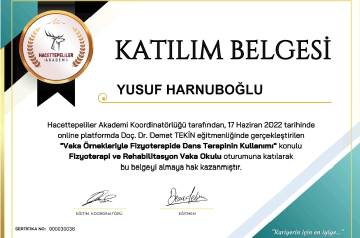 Vaka Örnekleriyle Fizyoterapide Dans Terapinin Kullanımı