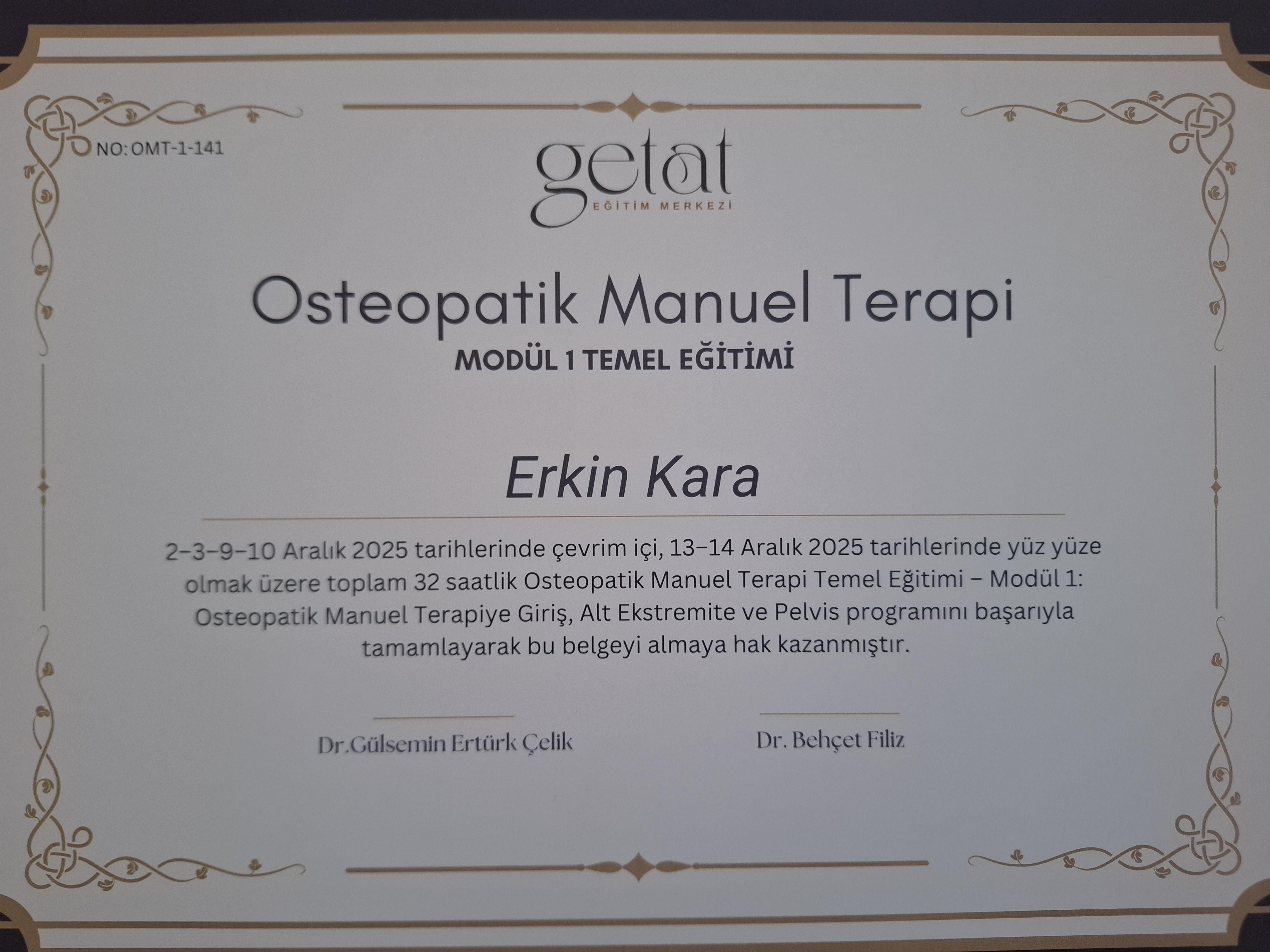 Osteopatik Manuel Terapi