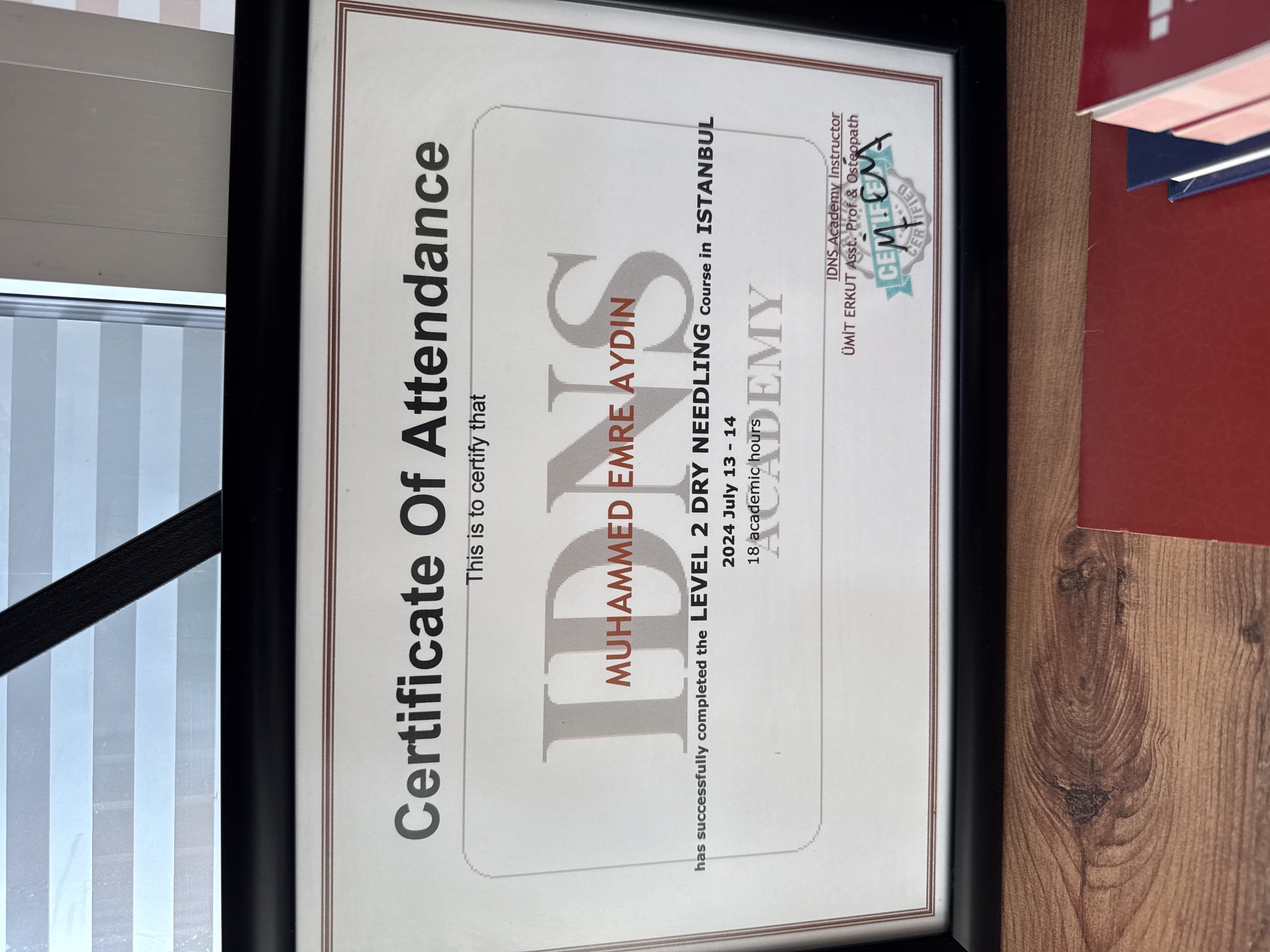 Dry Needling level 2