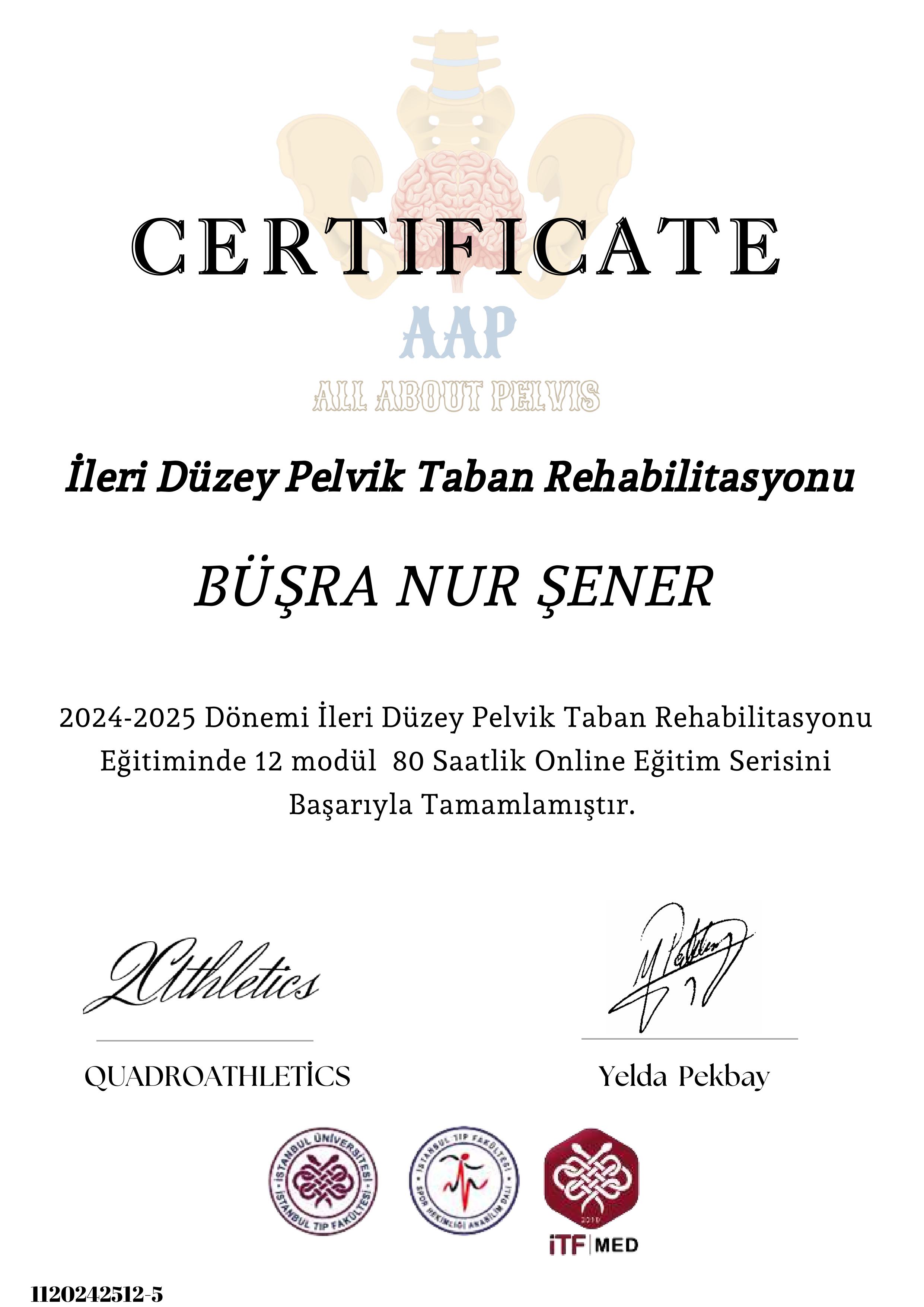 İleri Düzey Pelvik Taban Rehabilitasyonu