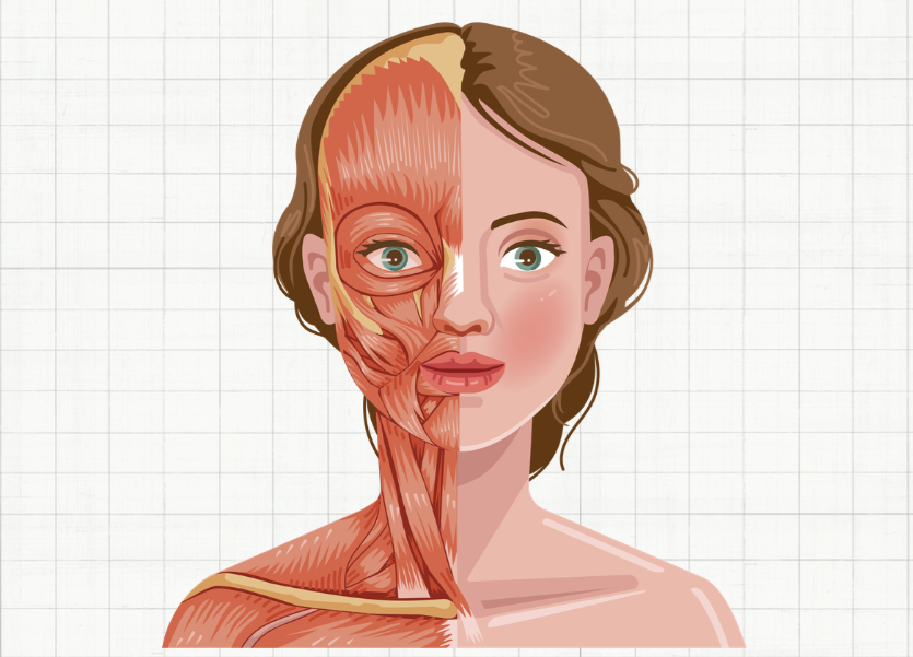 Aynaya Baktığınızda Yüzünüzün Yarısı Hareket Etmiyorsa: Yüz Felci (Bell's Palsy) Hakkında Bilmeniz Gerekenler