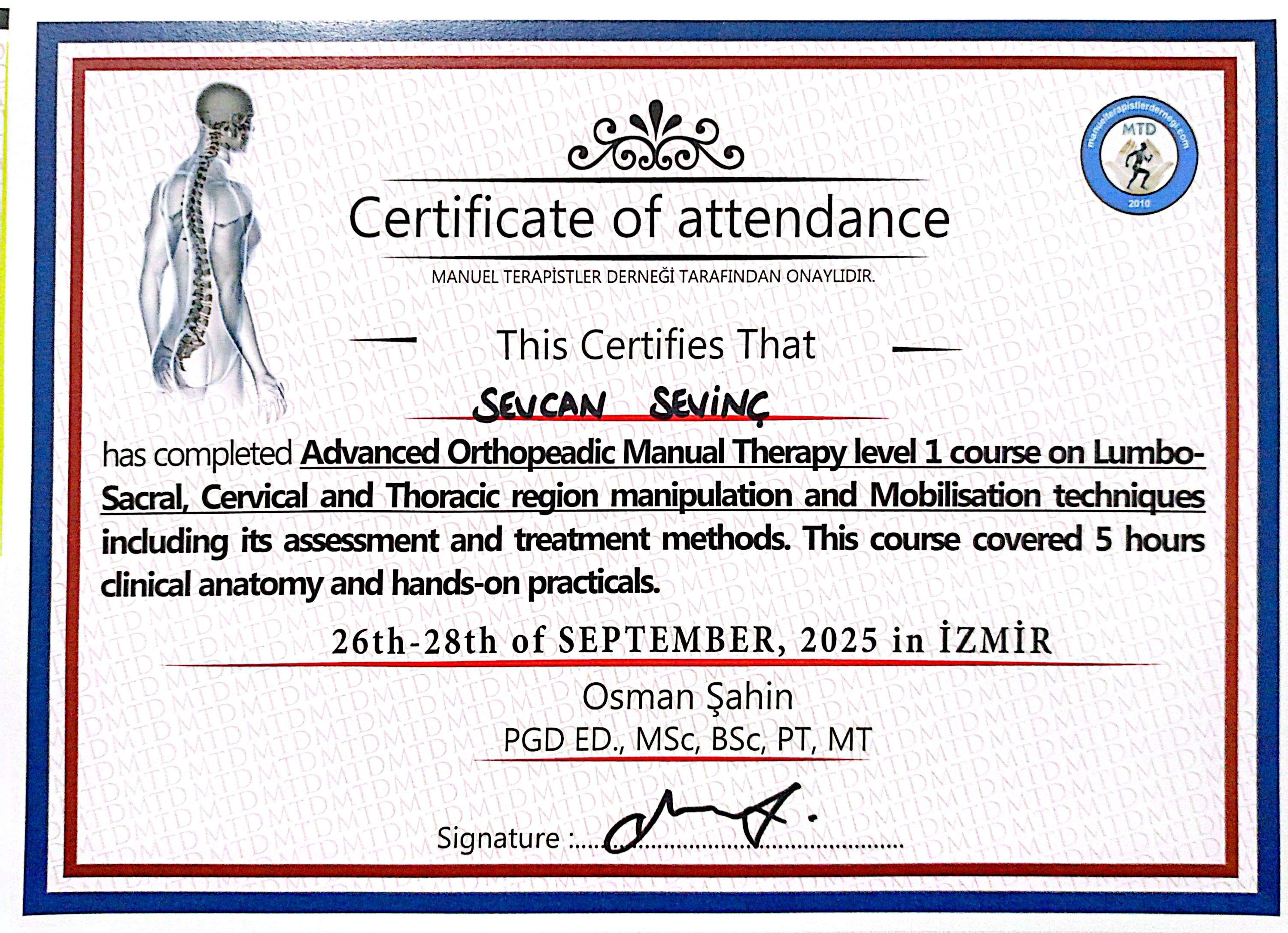 Manuel Terapi Cervikal, Thoracic and Lumbosacral