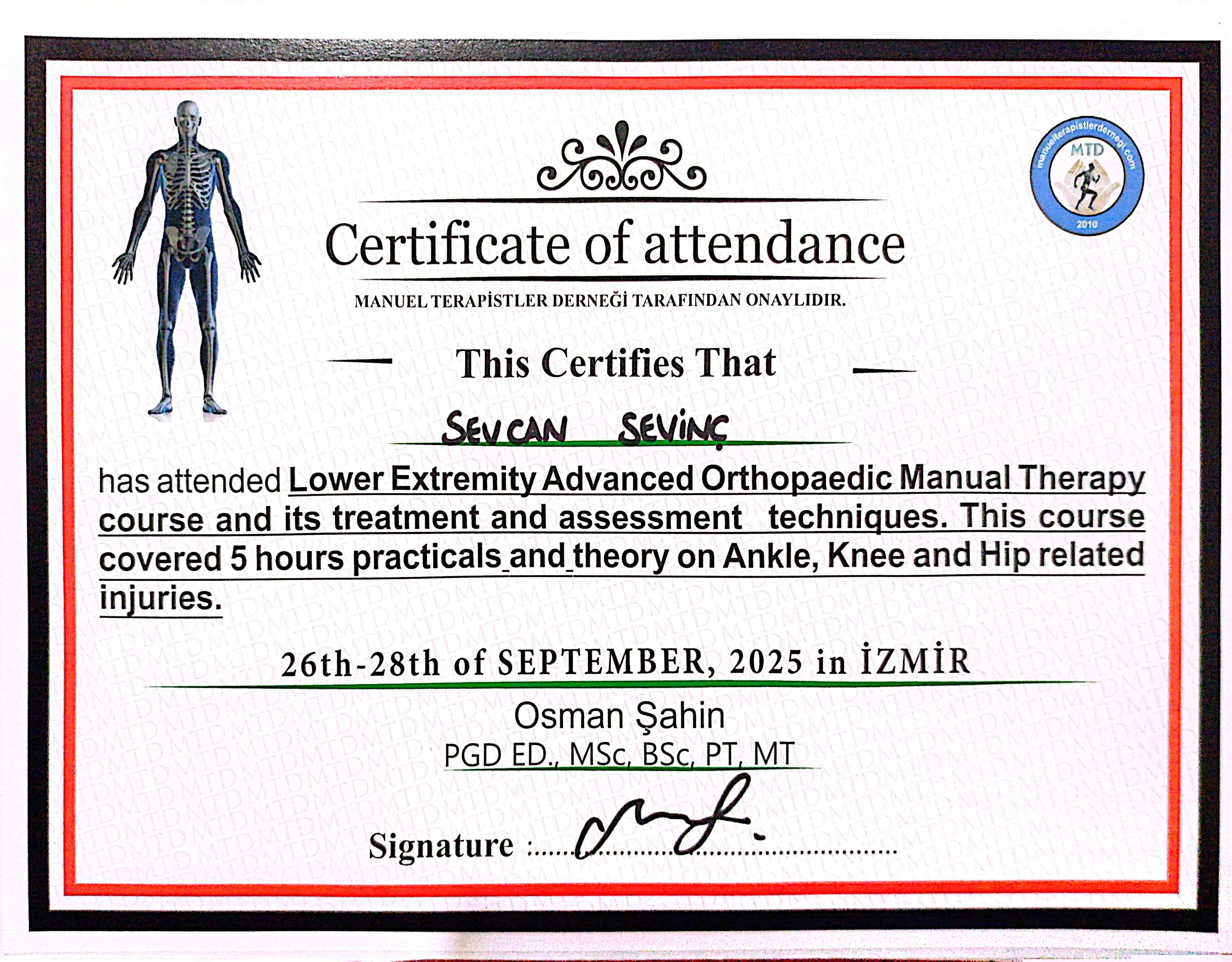 Manuel Terapi Lower Extremity