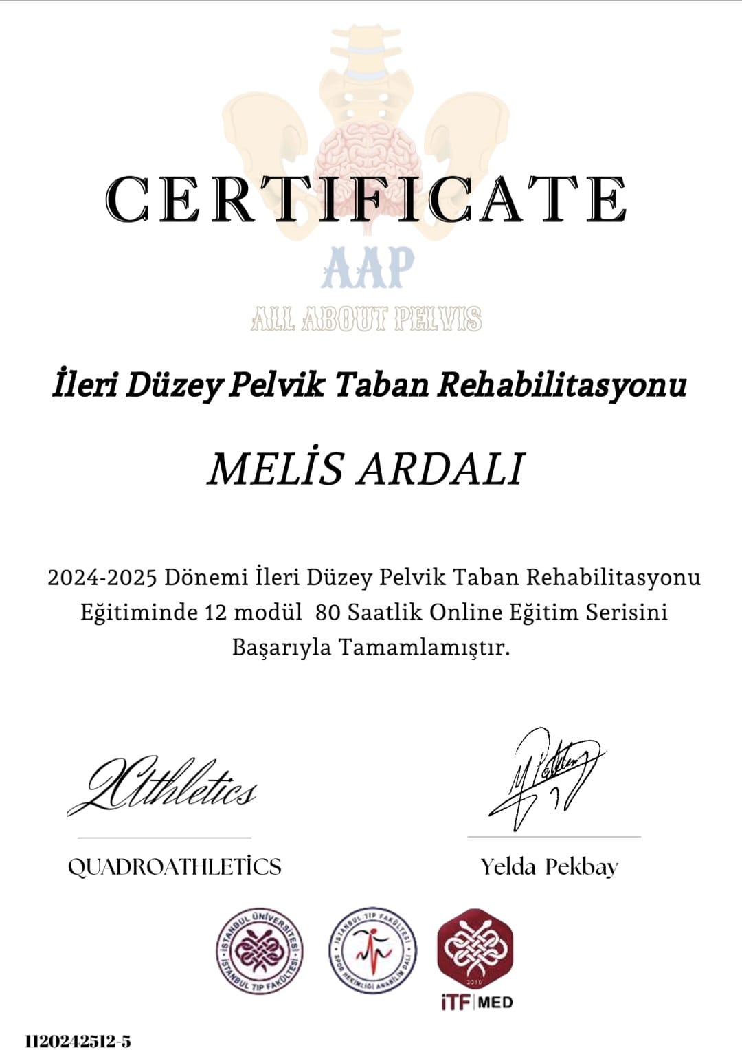 İleri Düzey Pelvik Taban Rehabilitasyonu