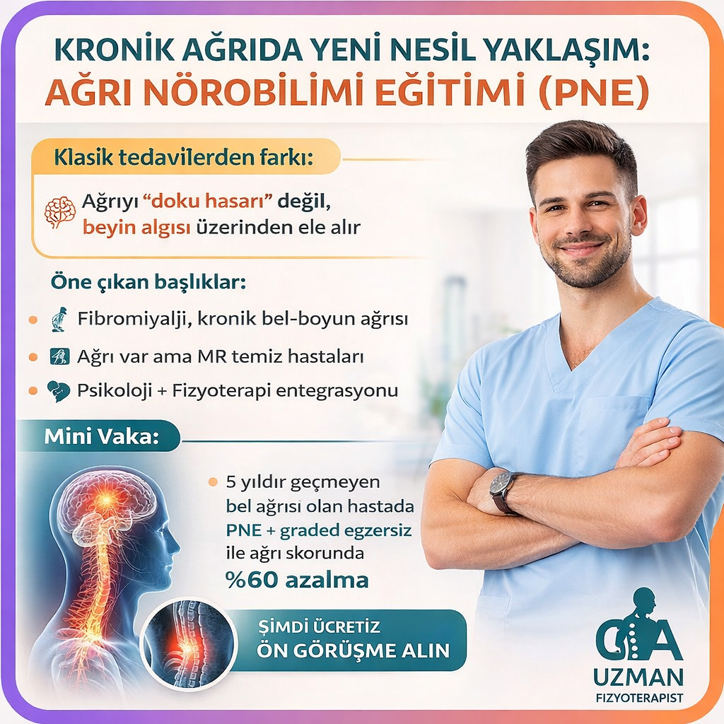 Kronik Ağrıda Yeni Nesil Yaklaşım: Ağrı Nörobilimi Eğitimi (PNE)