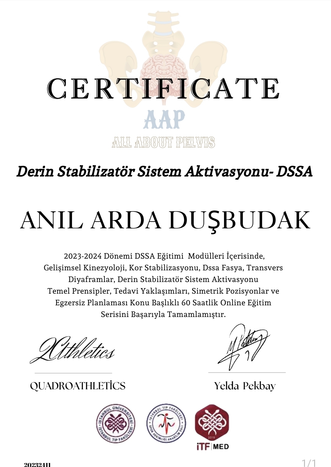 Derin Stabilizatör Sistem Aktivasyonu - DSSA