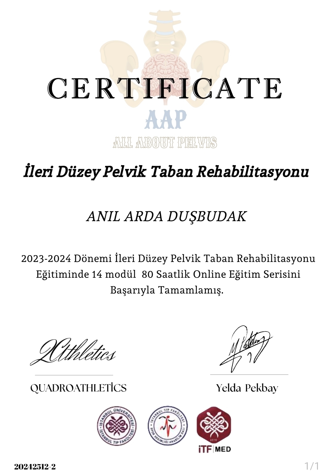 İleri Düzey Pelvik Taban Rehabilitasyonu