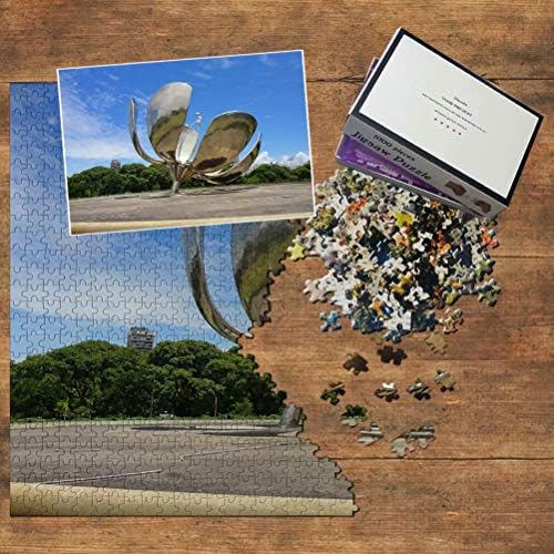 Vue 3 de Puzzle Floralis Buenos Aires