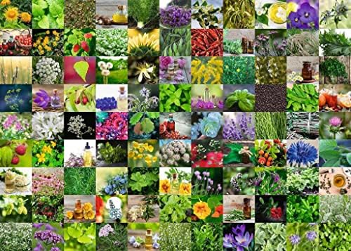 Vue 2 de Ravensburger Puzzle Herbes Et
