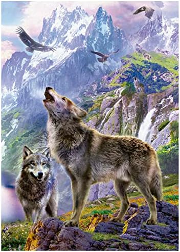 Vue 2 de Educa Loups Sur Les