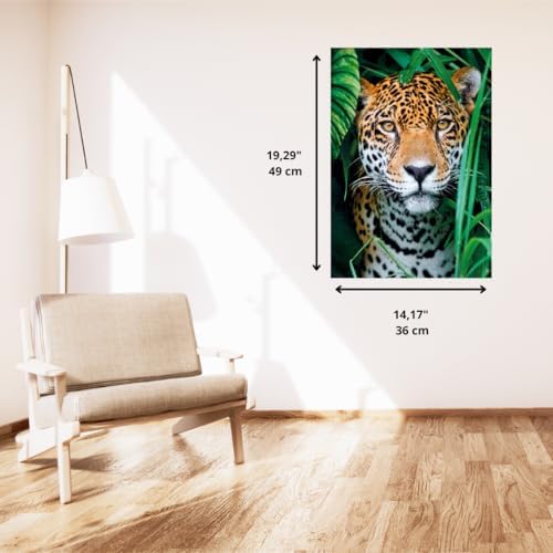 Vue 3 de Compact Pieces Jaguar In