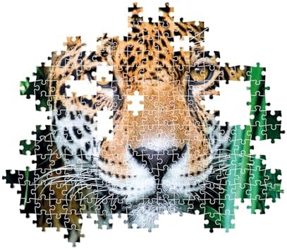 Vue 6 de Compact Pieces Jaguar In