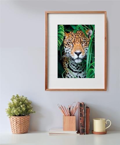 Vue 7 de Compact Pieces Jaguar In