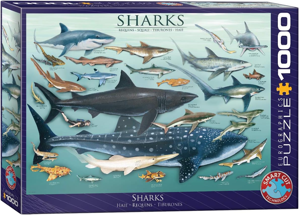 Eurographics Puzzle Requins Pieces