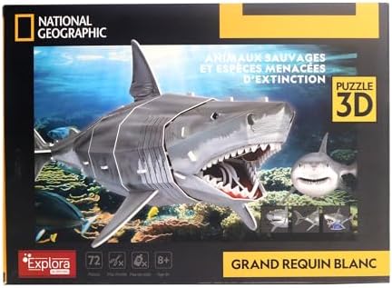 Vue 2 de Explora Grand Requin Blanc