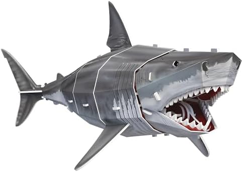 Vue 3 de Explora Grand Requin Blanc