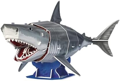 Vue 4 de Explora Grand Requin Blanc