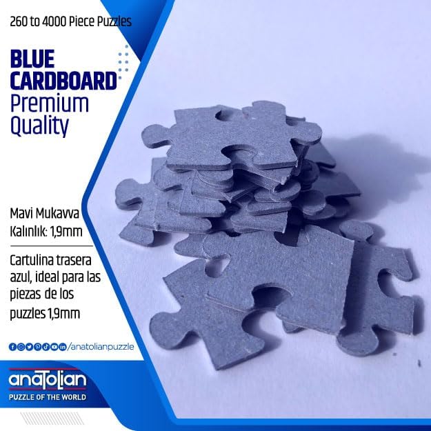 Vue 6 de Anatolianperre Group Puzzle Pieces