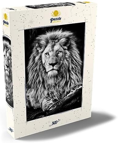 Vue 2 de Mypuzzle Image En Noir