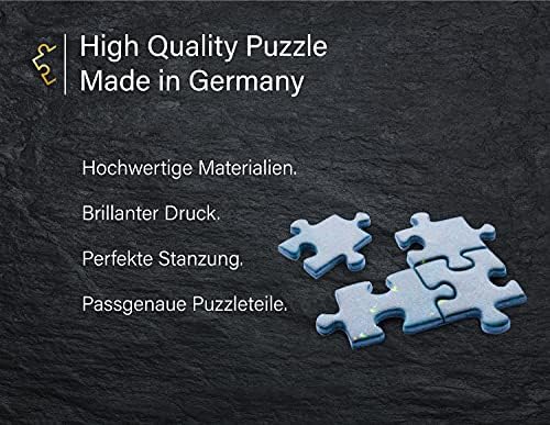 Vue 5 de Ulmer Puzzleschmiede Irrwitz Puzzle
