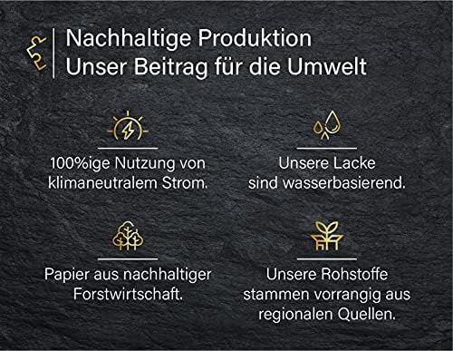 Vue 6 de Ulmer Puzzleschmiede Irrwitz Puzzle