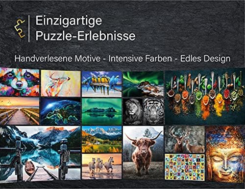 Vue 4 de Ulmer Puzzleschmiede Puzzle Paris
