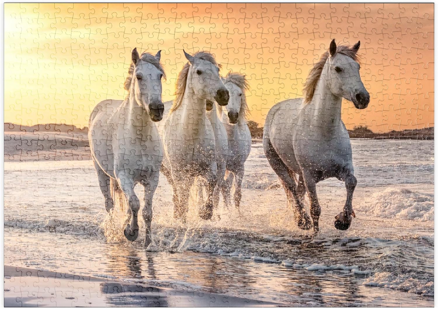 Mypuzzle Chevaux Blancs De