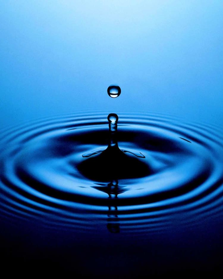 Tietopankki - Polygon: Hyödyllistä tietoa vesivahingoista, kosteusvaurioista, sisäilmasta, olosuhdehallinnasta ja palovahingoista.