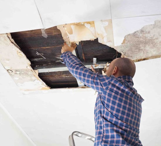 Kysymyksiä ja vastauksia kosteusvaurioista - Polygon