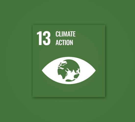Polygon sustainability goal 13