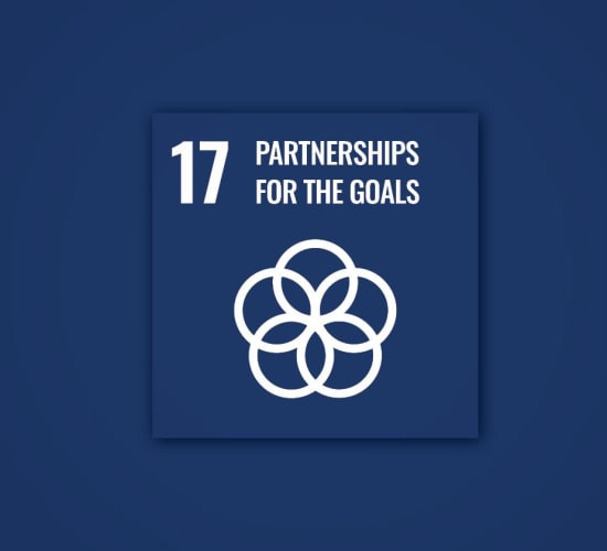 Polygon sustainability goal 17.