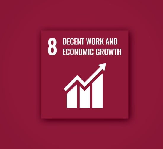 Polygon sustainability goal 8