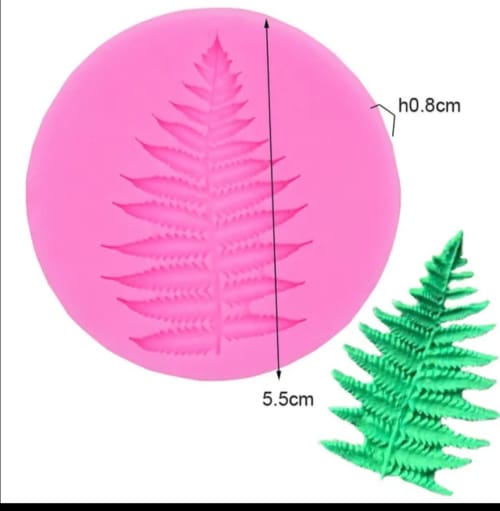 Fern