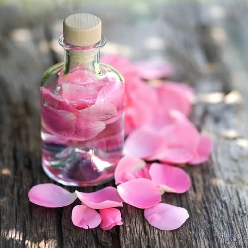 rose  essence