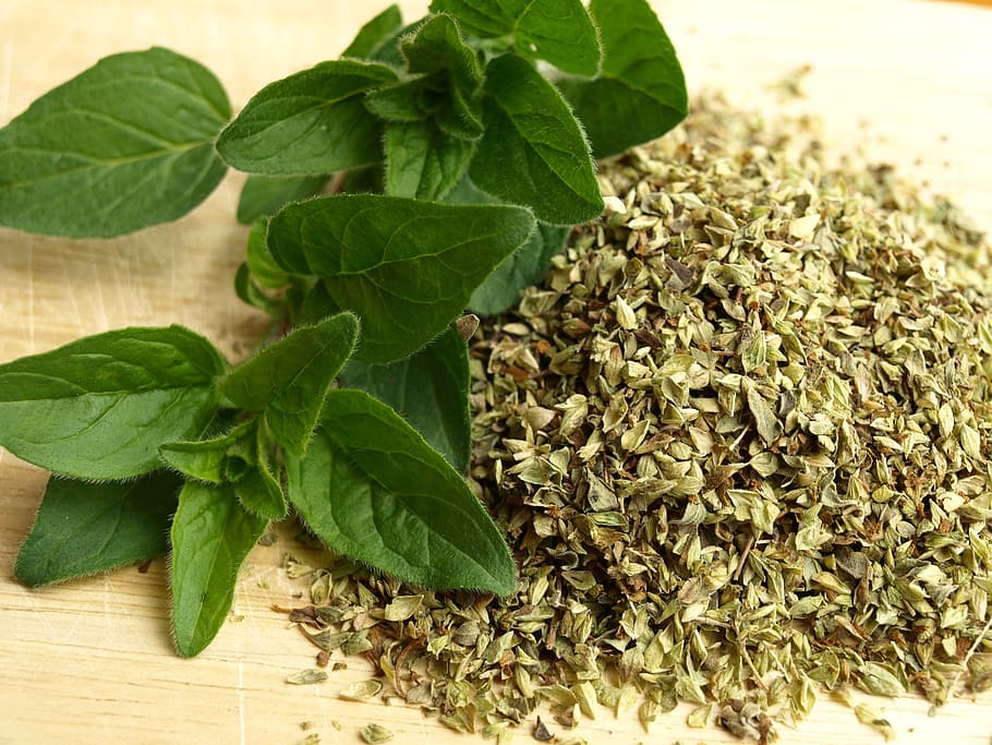 oregano leaves