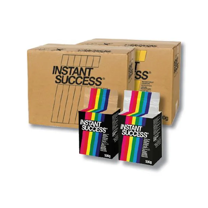 Instant-Success-02