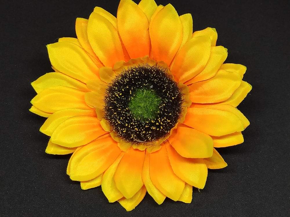 received_250241067236928