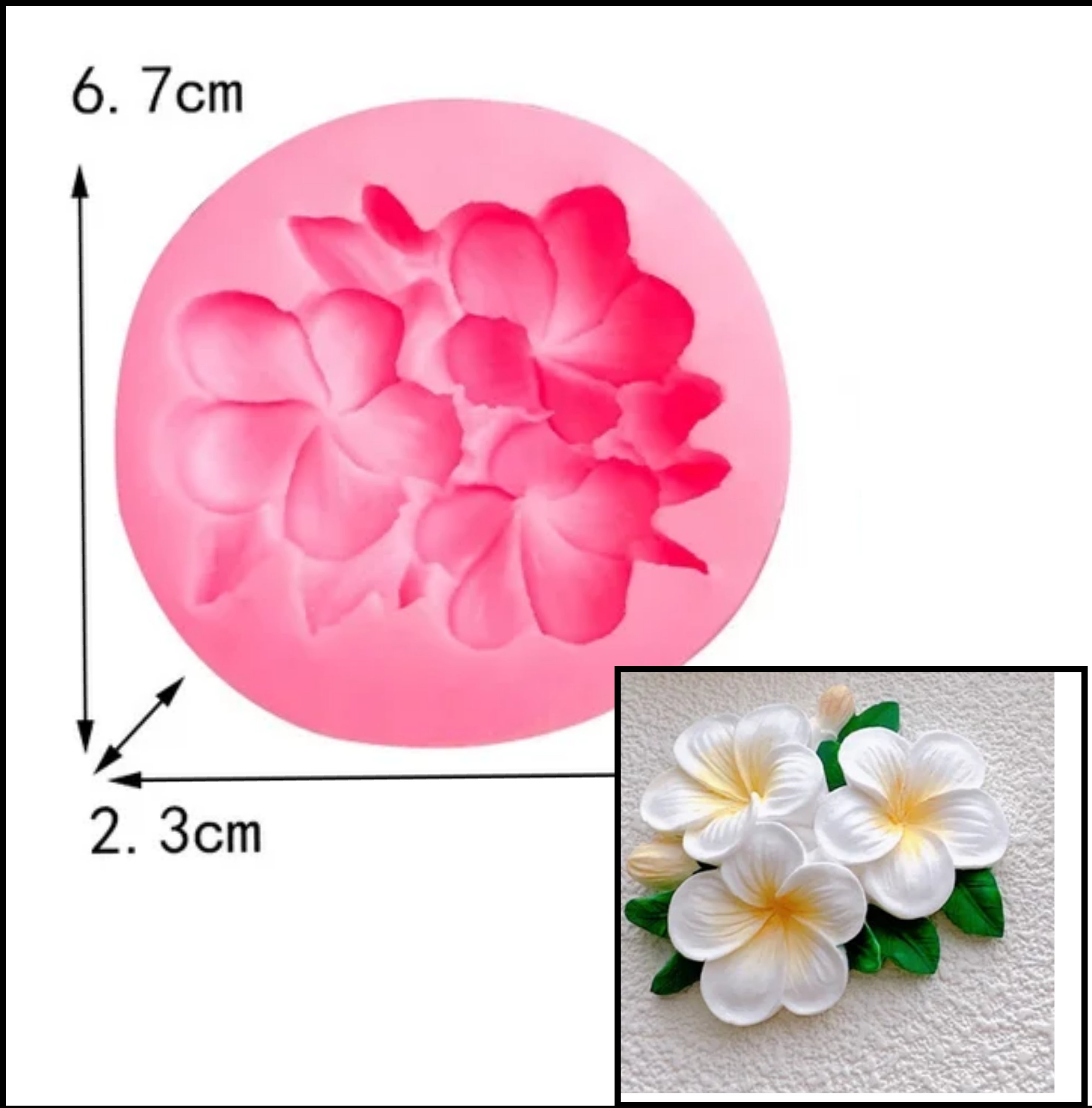 1000011401-scaled.jpg