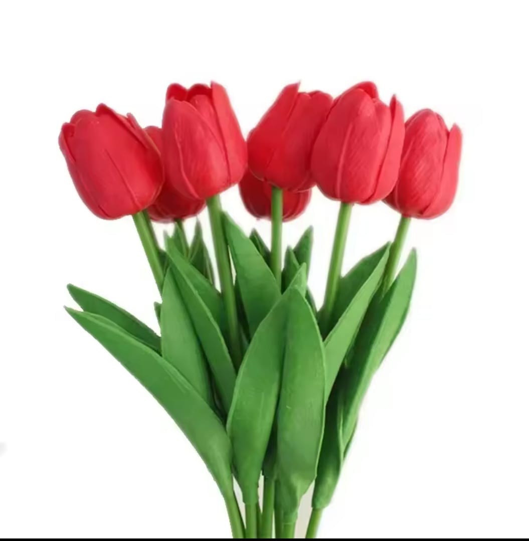 Tulip