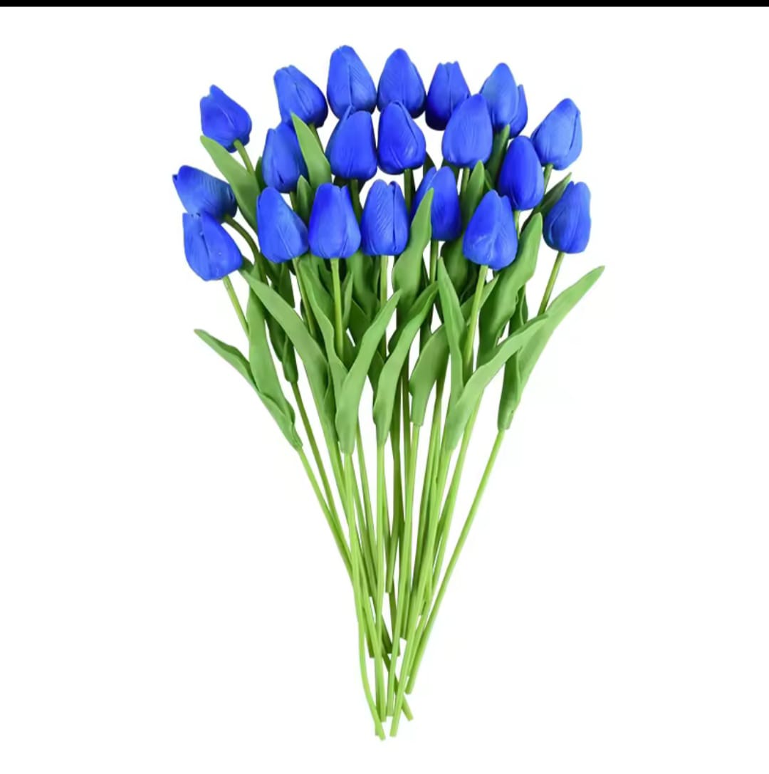 tulip
